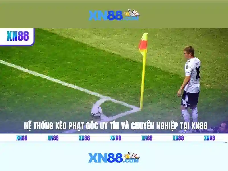 đặc điểm nổi bật