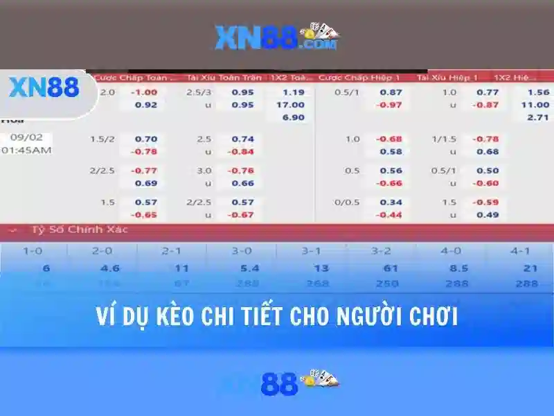 Tại Sao Nên Chọn