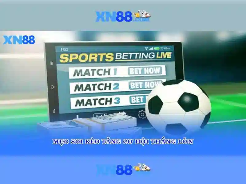 Mẹo chơi game Slot XN88 hiệu quả giúp tăng tỷ lệ thắng cao
