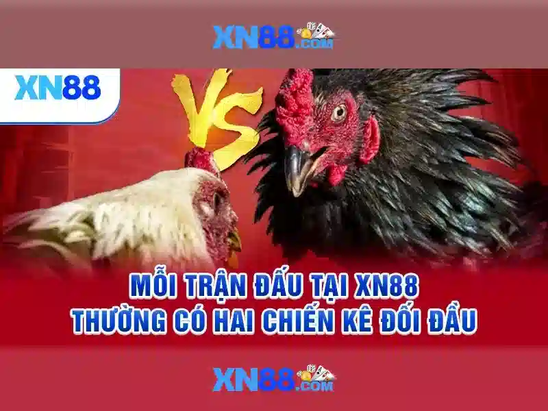 Giới Thiệu Về XN88 Slot