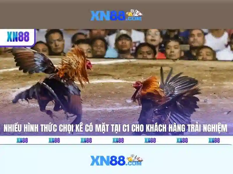 XN88 Cung Cấp Trải Nghiệm Cá Cược Đa Dạng