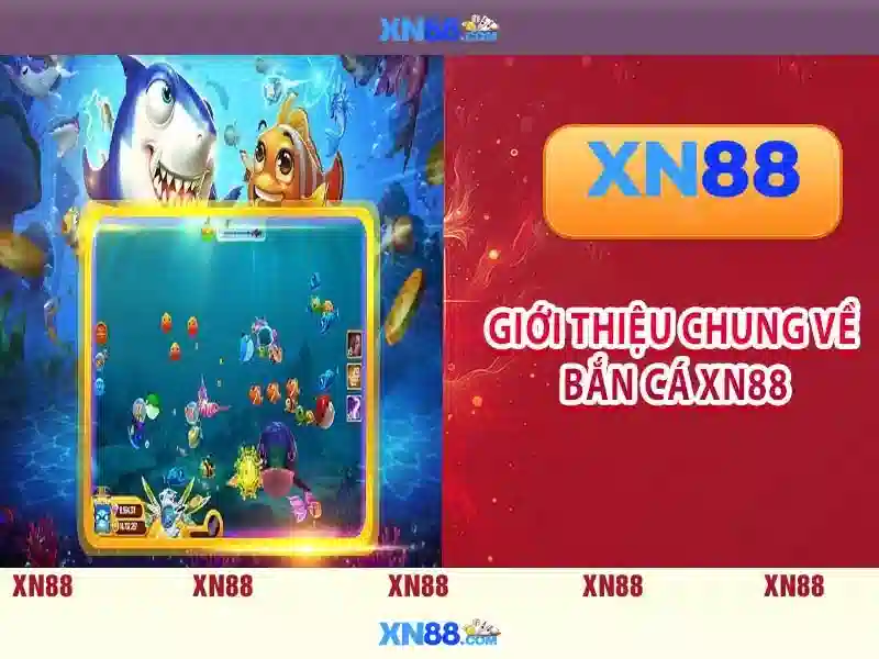Giới Thiệu Về XN88