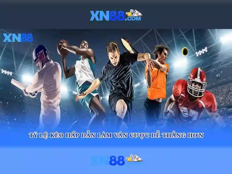 Quyền và nghĩa vụ người chơi XN88 - Hướng dẫn chi tiết 2026