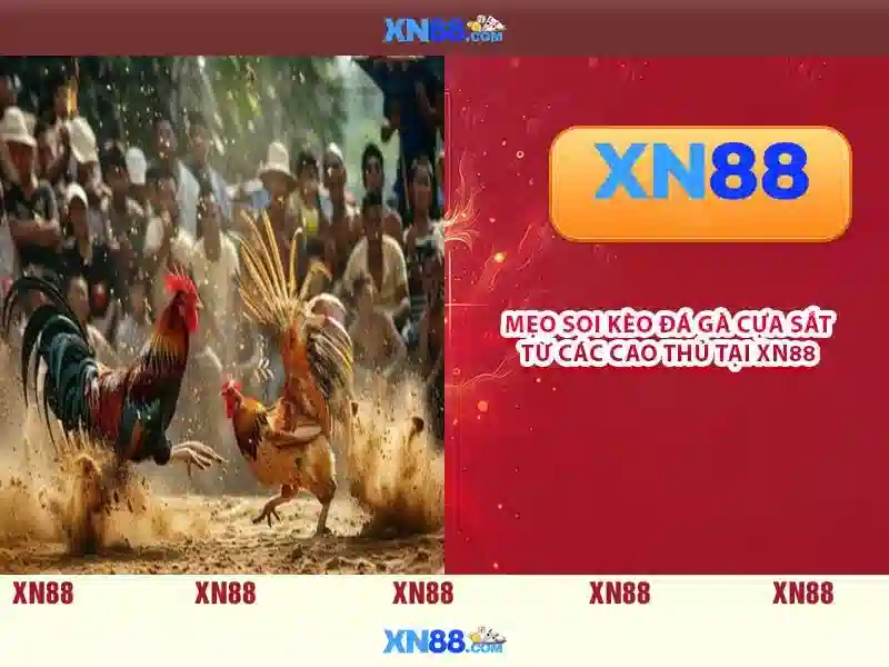 XN88 App Com – Trải Nghiệm Slot Đỉnh Cao Với Giao Diện Hiện Đại