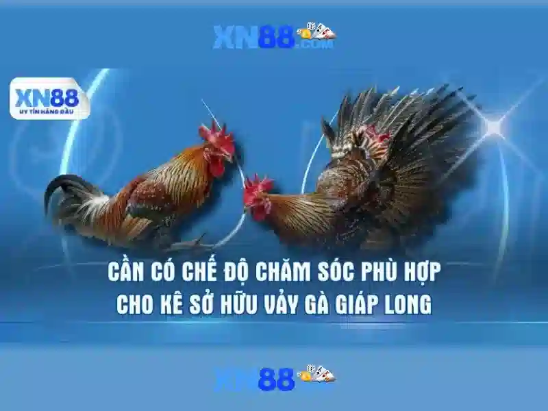 XN88 Google Play – Trải Nghiệm Slot Đỉnh Cao 2026