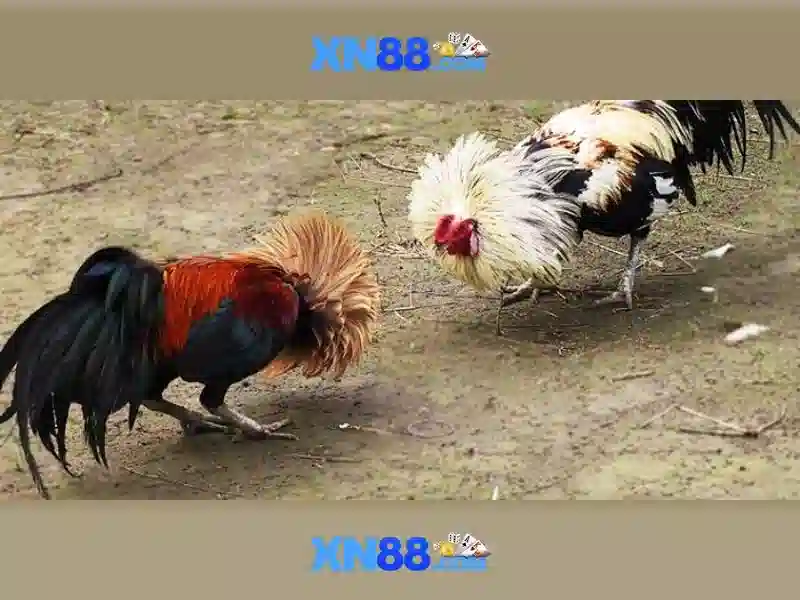 Ưu đãi đăng nhập XN88 cho người chơi Slot