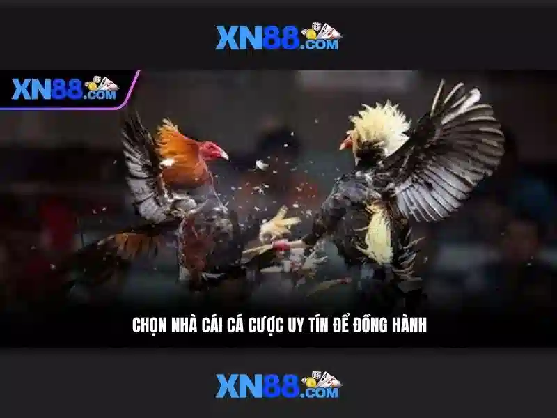Cổng game slot XN88
