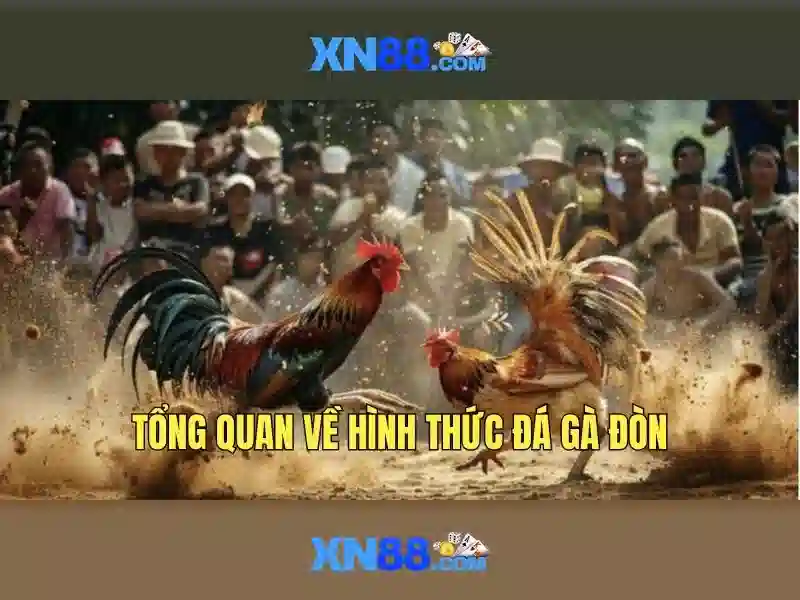 Hướng dẫn đăng nhập XN88
