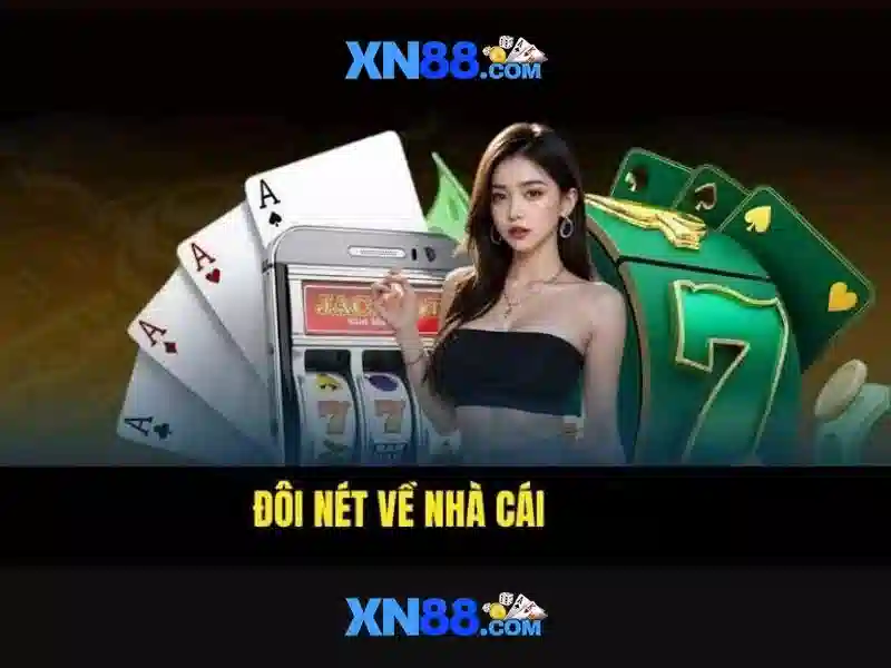 Quyền và nghĩa vụ người chơi Slot XN88
