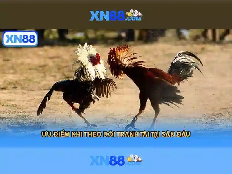 Ứng dụng XN88