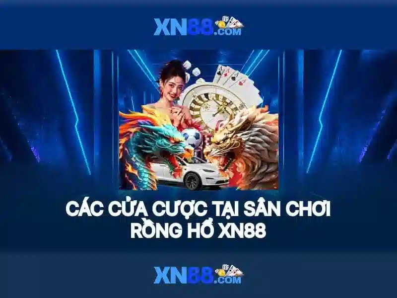 Điều Khoản Sử Dụng XN88
