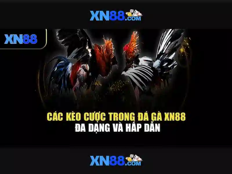 XN88 – Hướng Dẫn Đăng Nhập Tài Khoản, Trang Chủ XN88 Chính Thức 2026