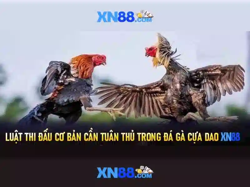 Cách Kiểm Tra XN88 Lừa Đảo