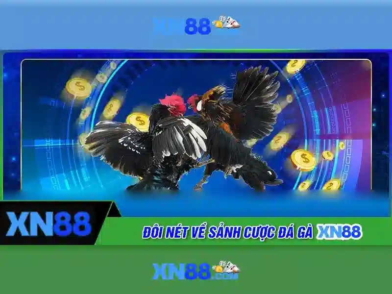 Quyền và nghĩa vụ người chơi XN88