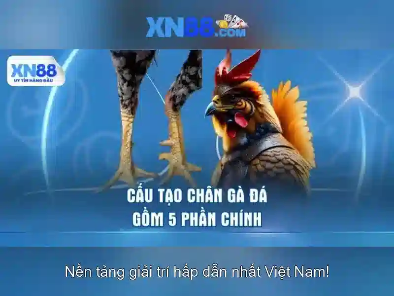 Trải nghiệm slot đỉnh cao