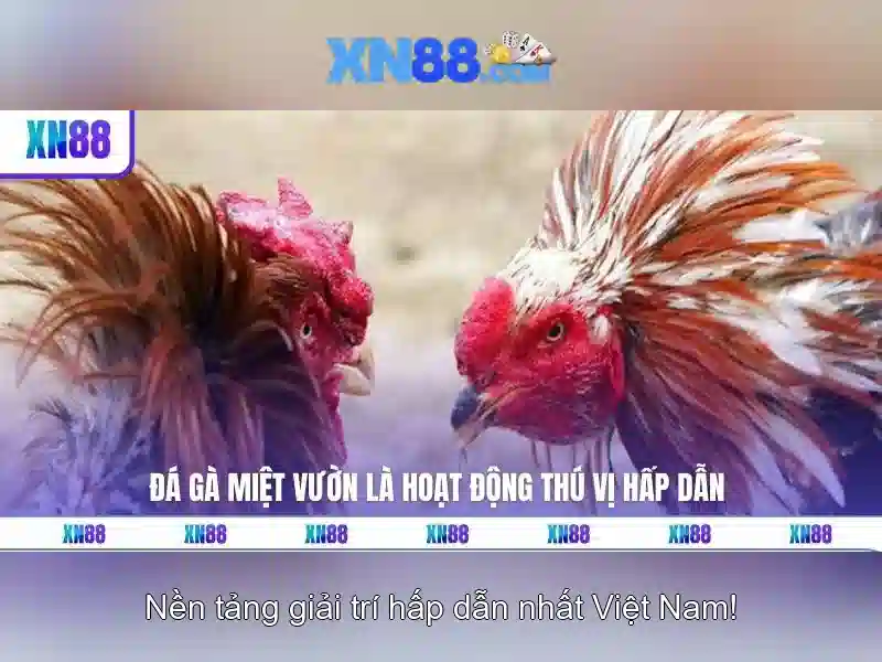 Trải Nghiệm Slot XN88