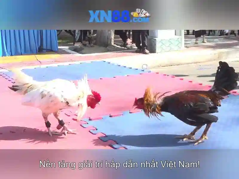hướng dẫn nạp tiền XN88