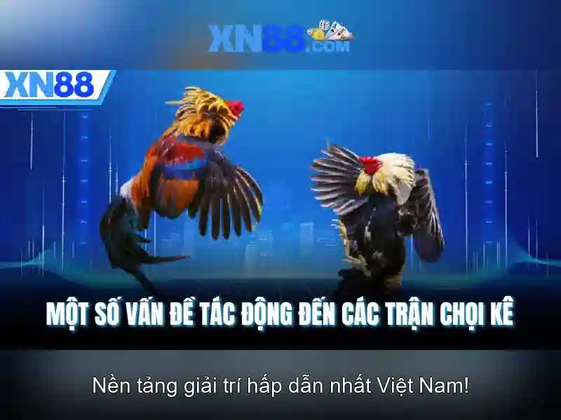 Ưu điểm tải XN88