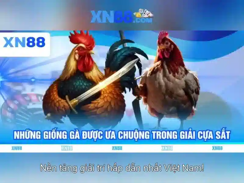 XN88 Slot - Hỗ Trợ Người Chơi