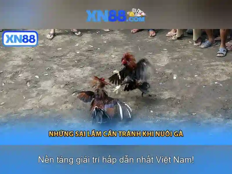 Các chương trình khuyến mãi tại XN88