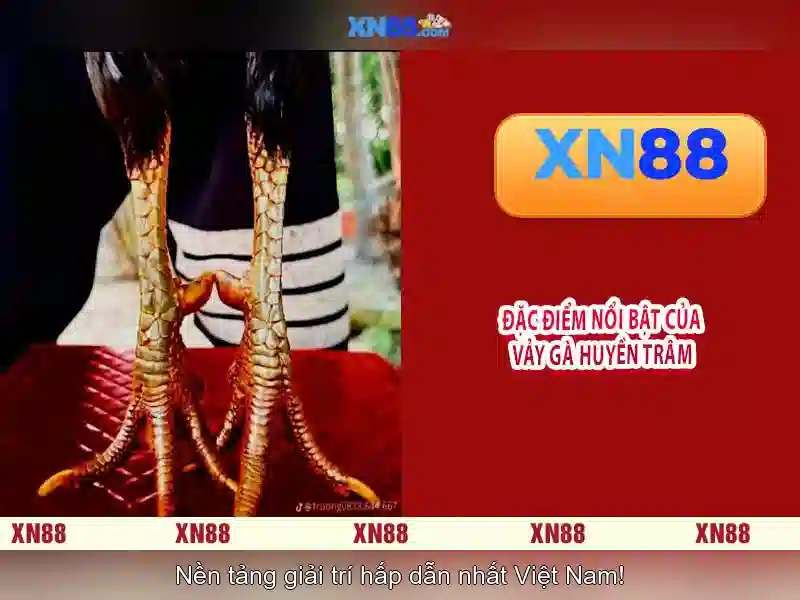 Giao diện đăng nhập XN88