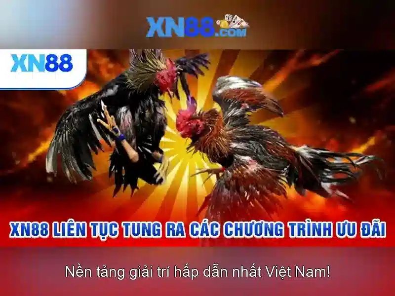Hệ Thống Thưởng XN88 Game