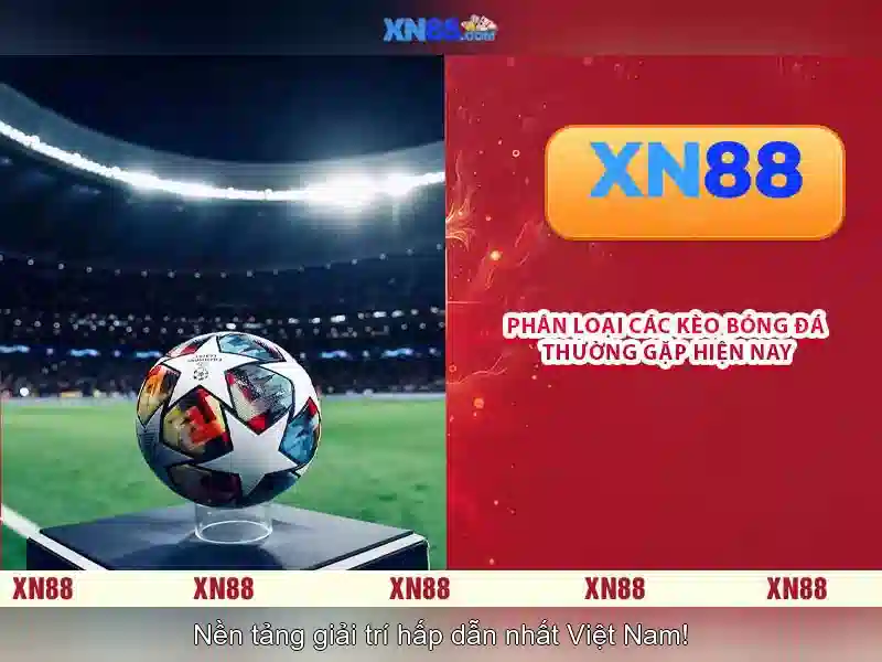 Tối Ưu Hóa XN88