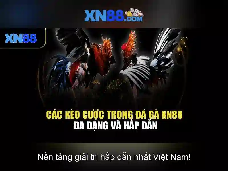 Slot độc quyền XN88